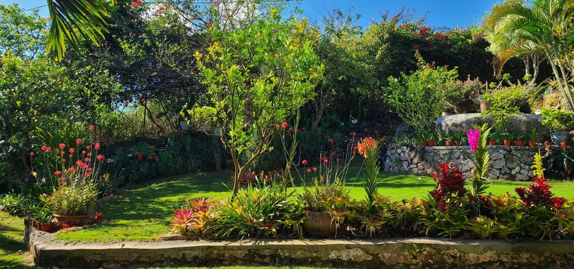 The Villa Retreat Mandeville Appartement